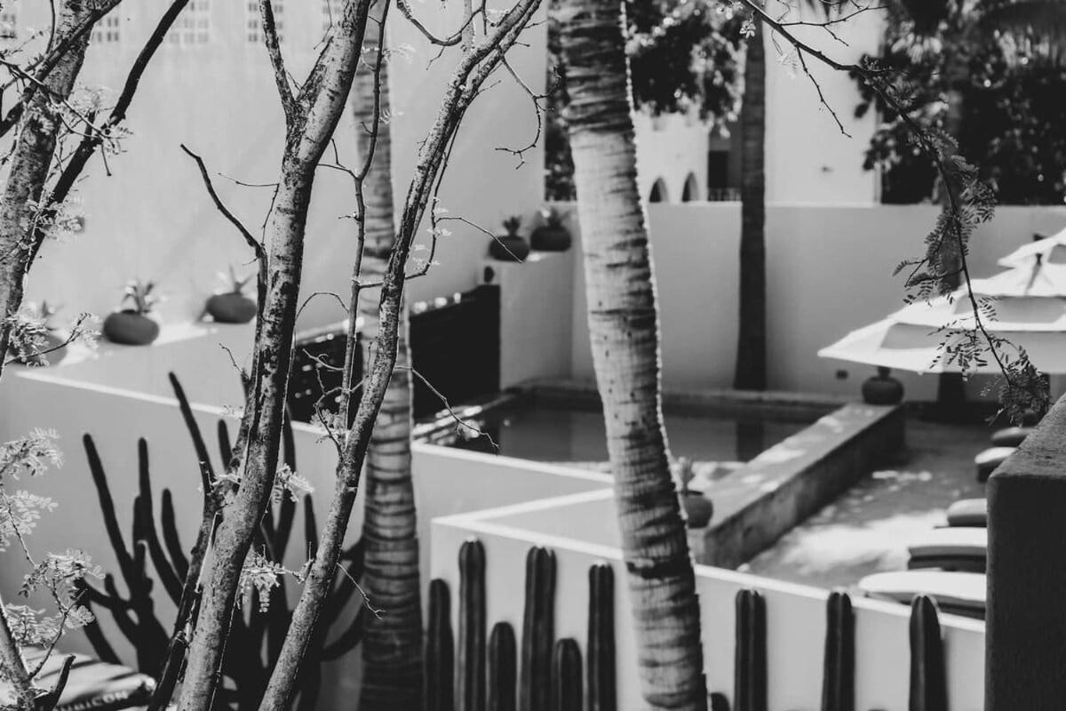 4 Charming Suite King Rooms In Luxurious Boutique Hotel San Jose del Cabo Ngoại thất bức ảnh